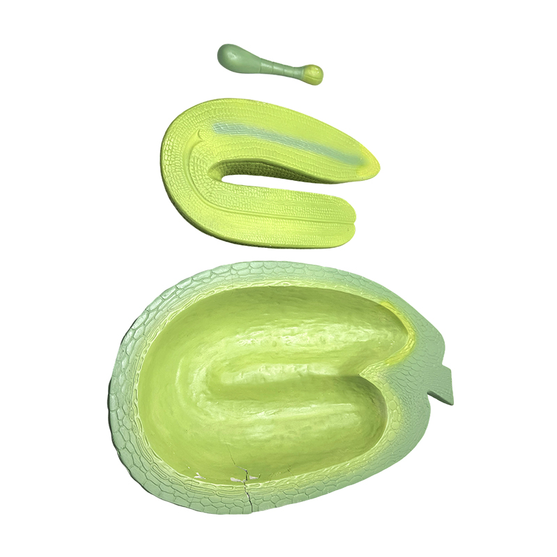 Profesjonell utdanningsmodell Shepherd's purse embryo utviklingsmodell Plantemodell Ungdomsskole biologisk vitenskap utdanning søknad