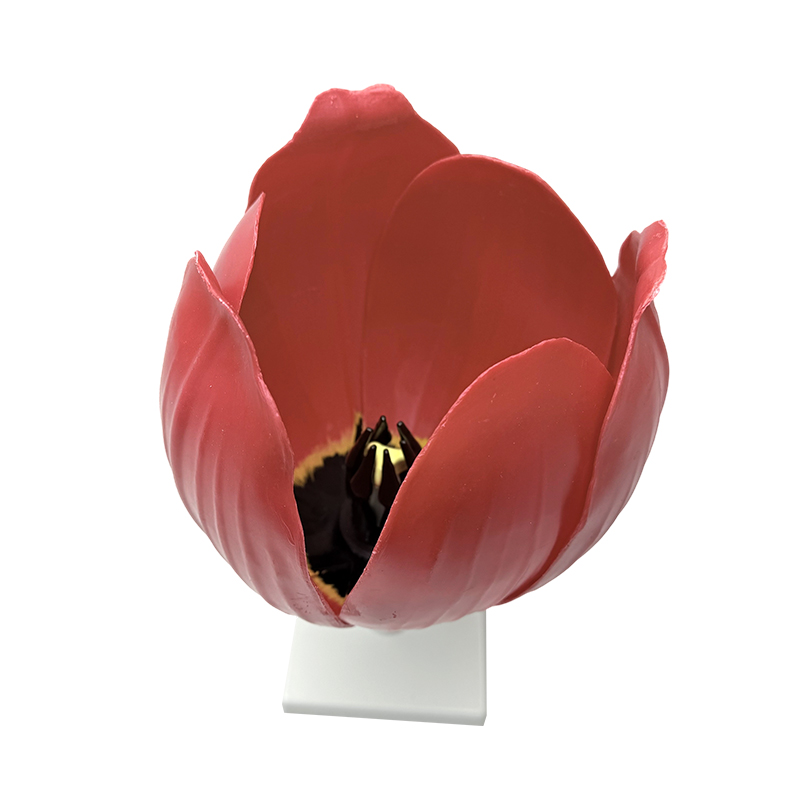 Skolen lærer yujin duftende blomstermodell