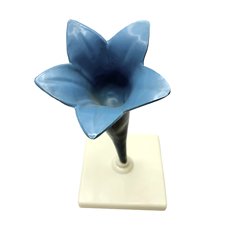 Skolen lærer yujin duftende blomstermodell