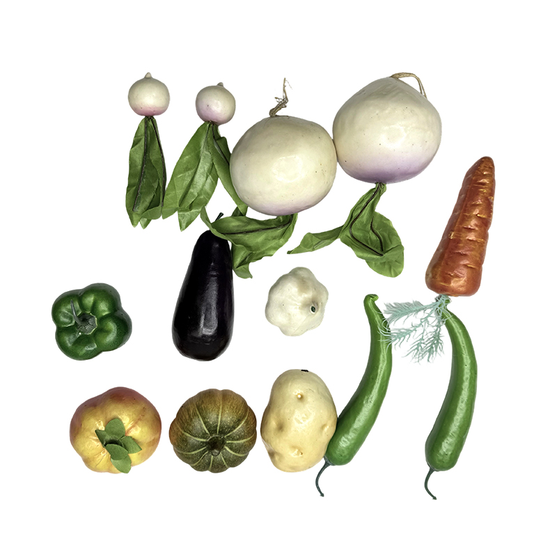 Pedagogisk utstyr undervisning simulering vegetabilske ornamenter